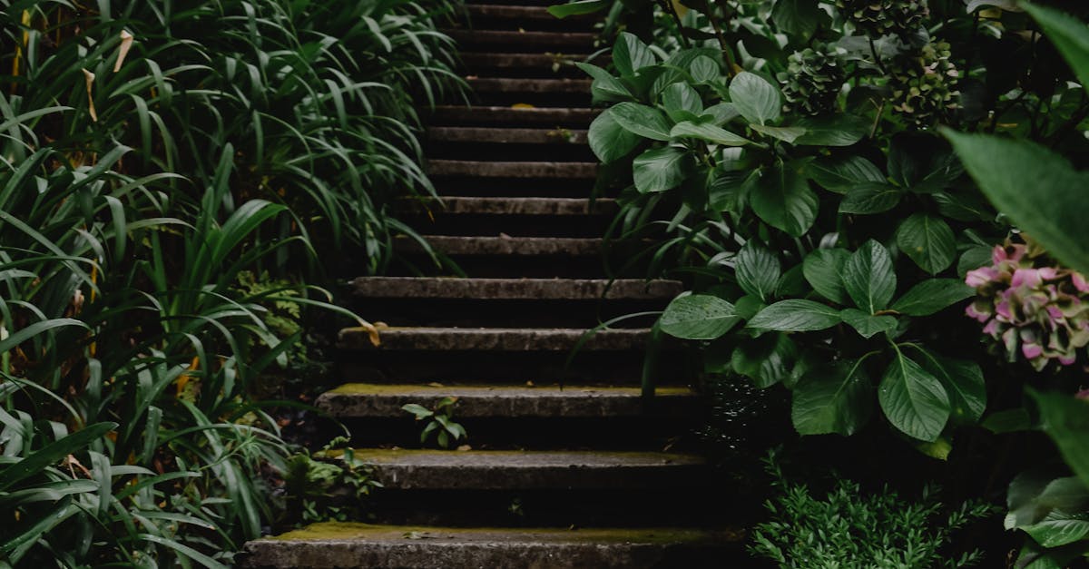 Before and After: Inspiring Garden Renovation Success Stories