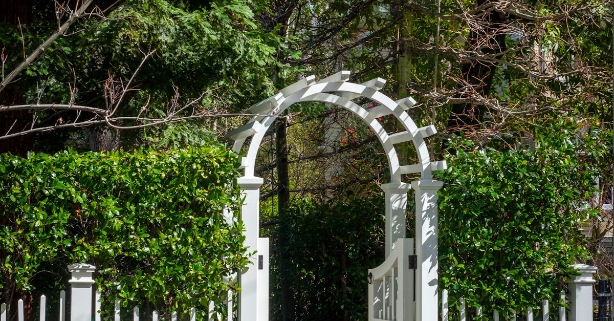 Benefits of Soil Moisture Sensors for Efficient Watering