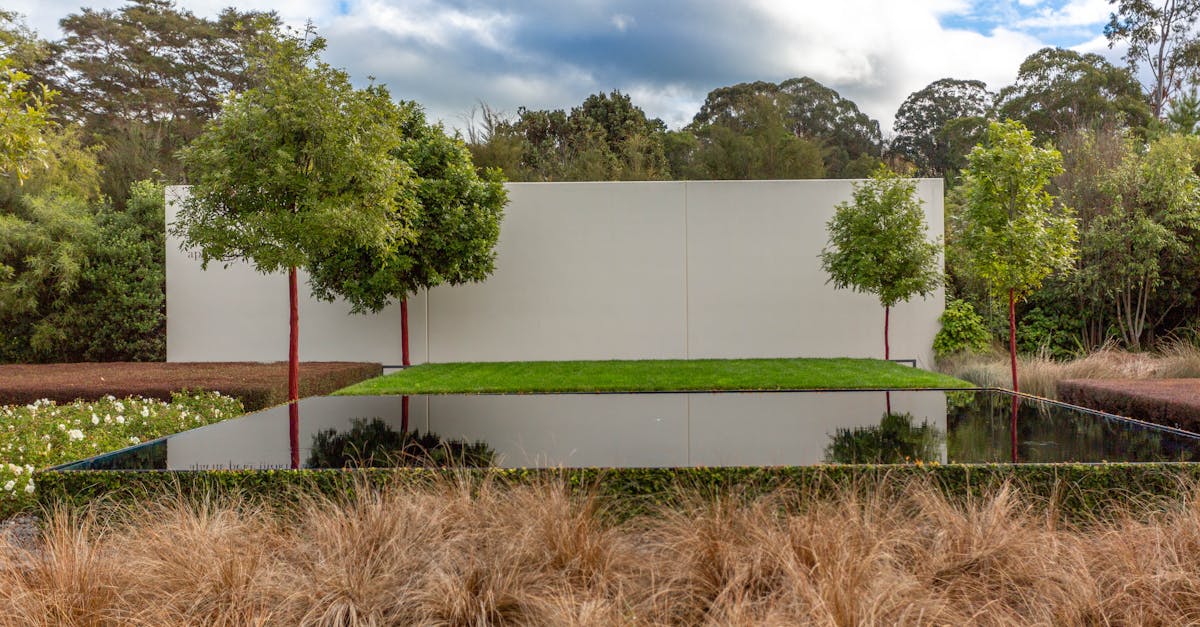 Benefits of Vertical Gardens for Urban Wildlife