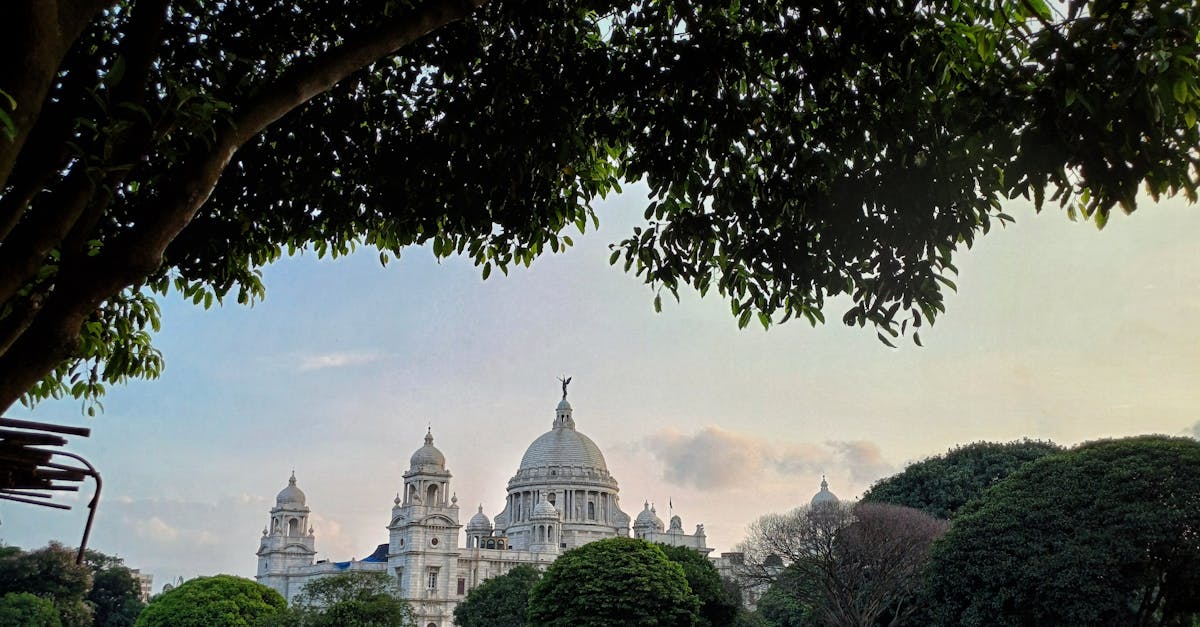 Best Practices for Mulching to Retain Soil Moisture