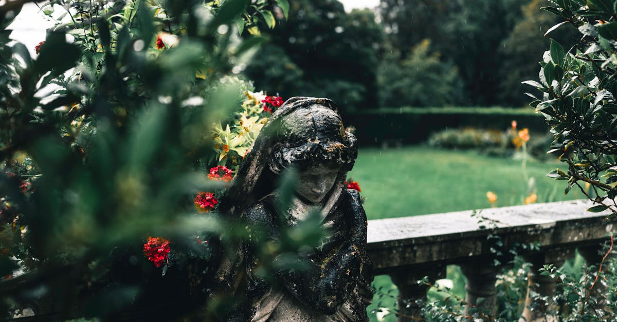 Budgeting for Your Garden Renovation: Tips and Tricks