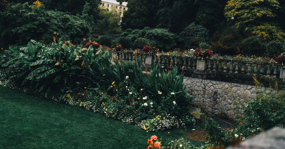 Designing Functional Outdoor Spaces Through Effective Garden Renovation