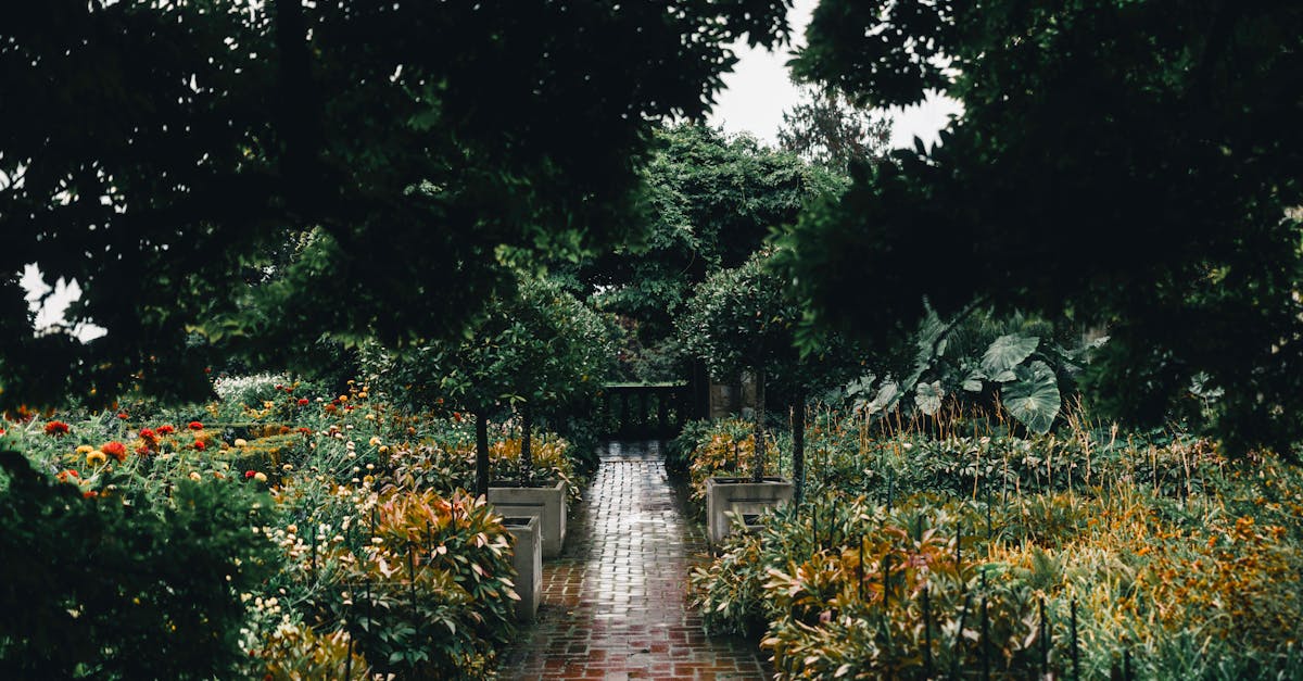 Designing Luxurious Patios and Decks in Outdoor Areas