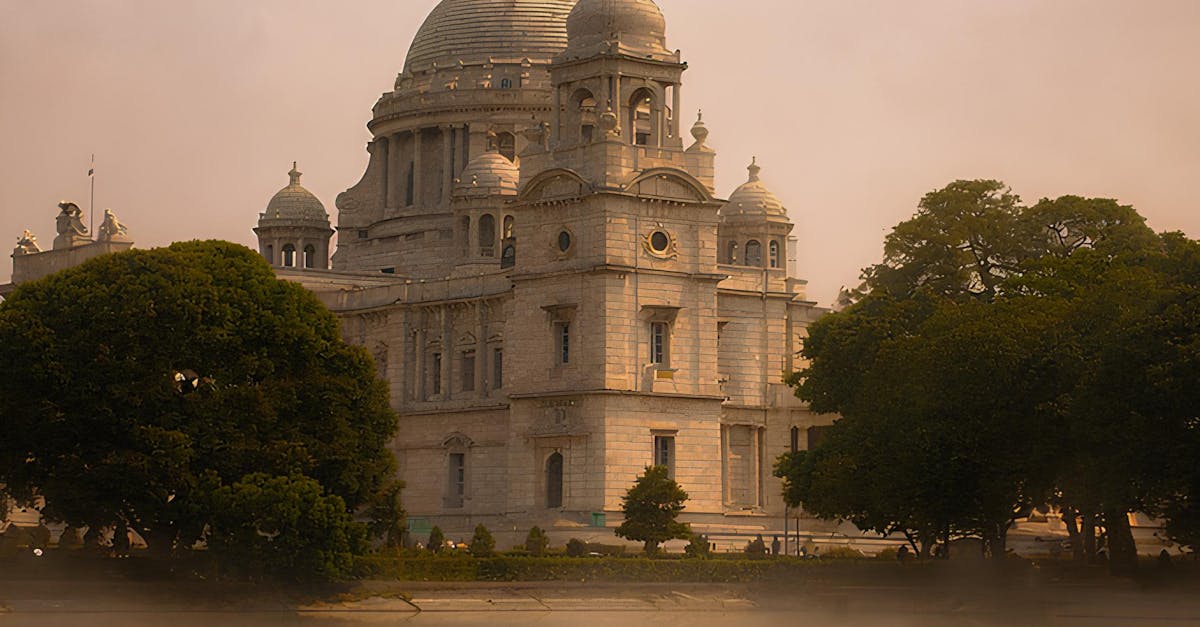 Designing with Native Grasses: A Trend for Modern Landscapes