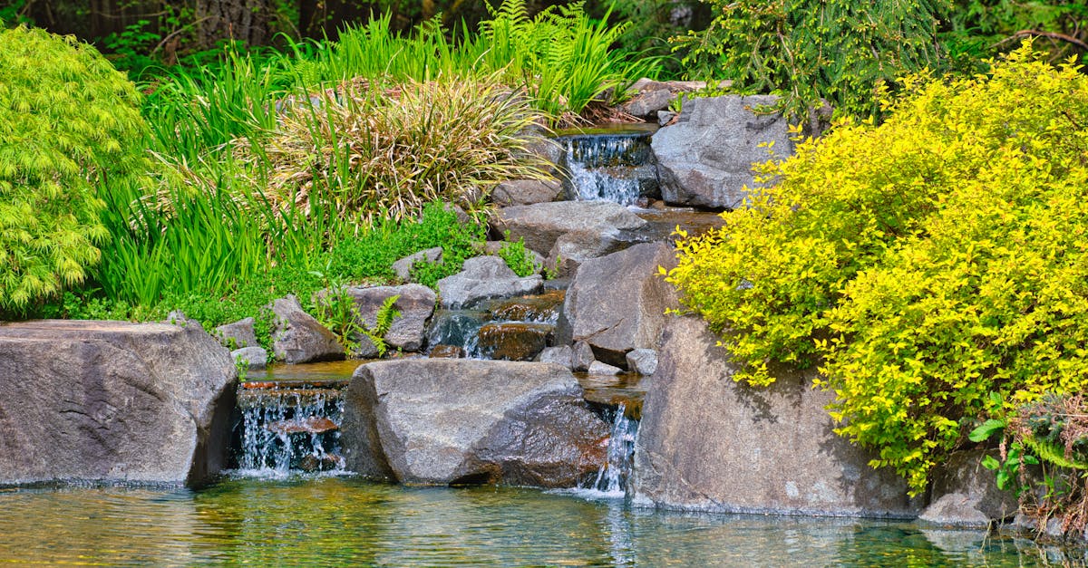 Developing Landscapes for Enhanced Customer Experience