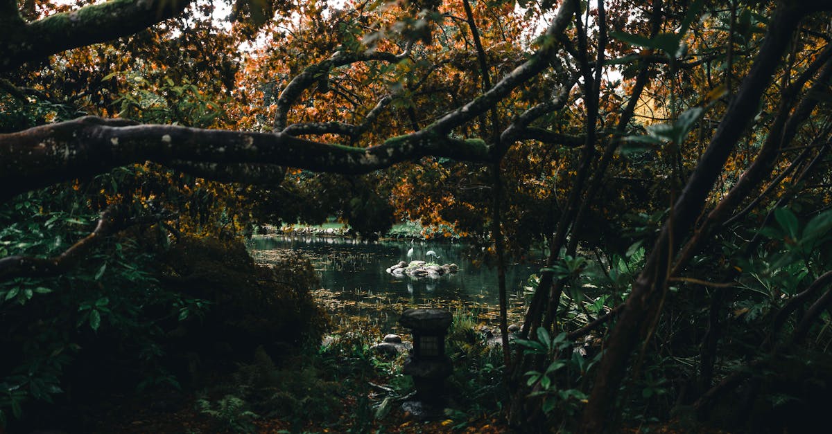 Eco-Friendly Hardscaping Materials for Outdoor Spaces