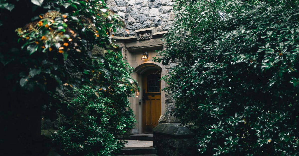 Effective Mulching Practices for Seasonal Plant Health