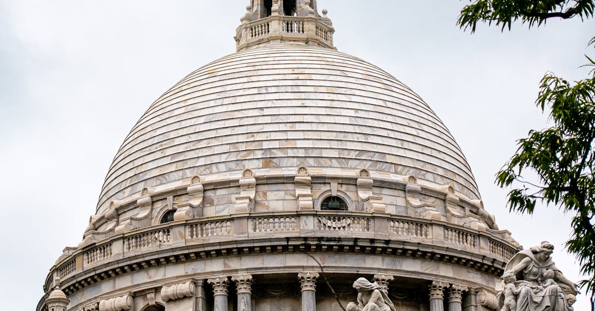 Embracing Native Flora for Sustainable Gardens in Victoria