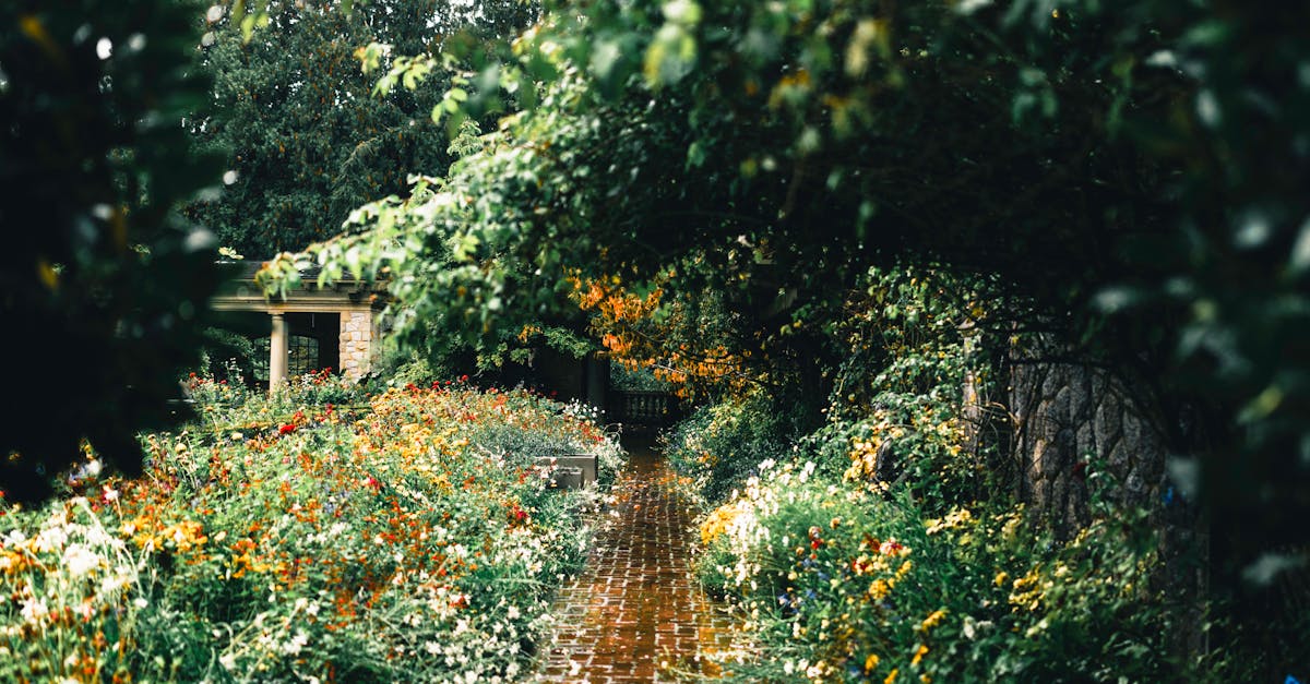 Incorporating Hardy Local Flora for Low-Water Gardens