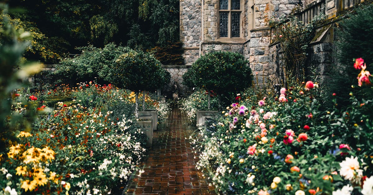 Incorporating Native Australian Plants in Your Garden Renovation