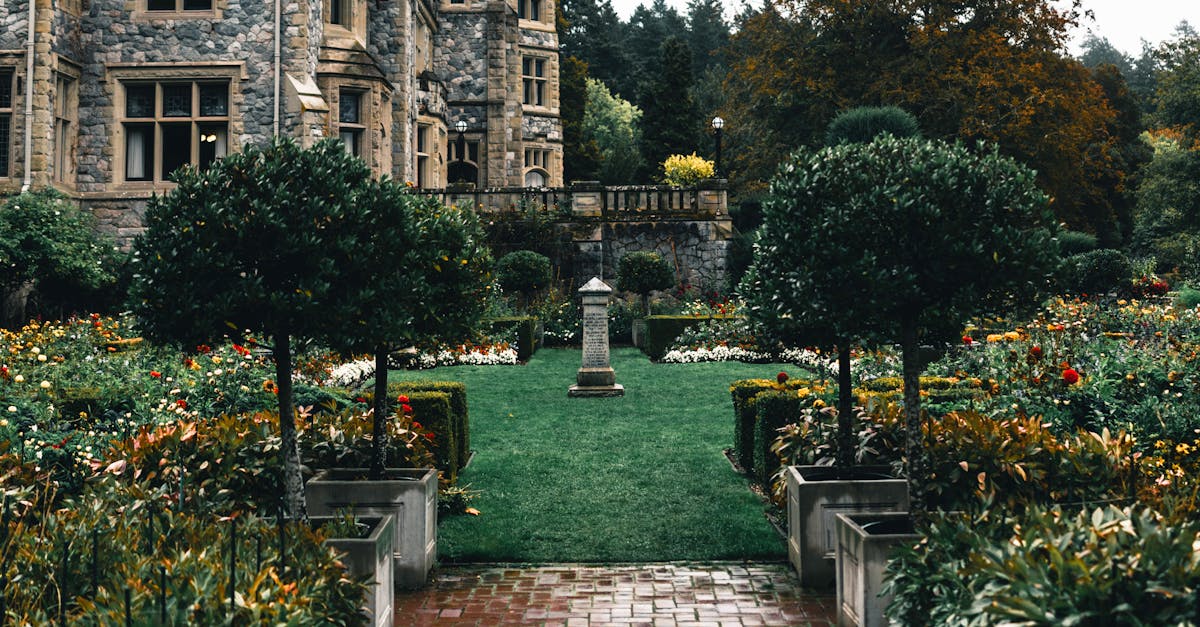 Integrating Native Flora into Residential Landscapes in Victoria