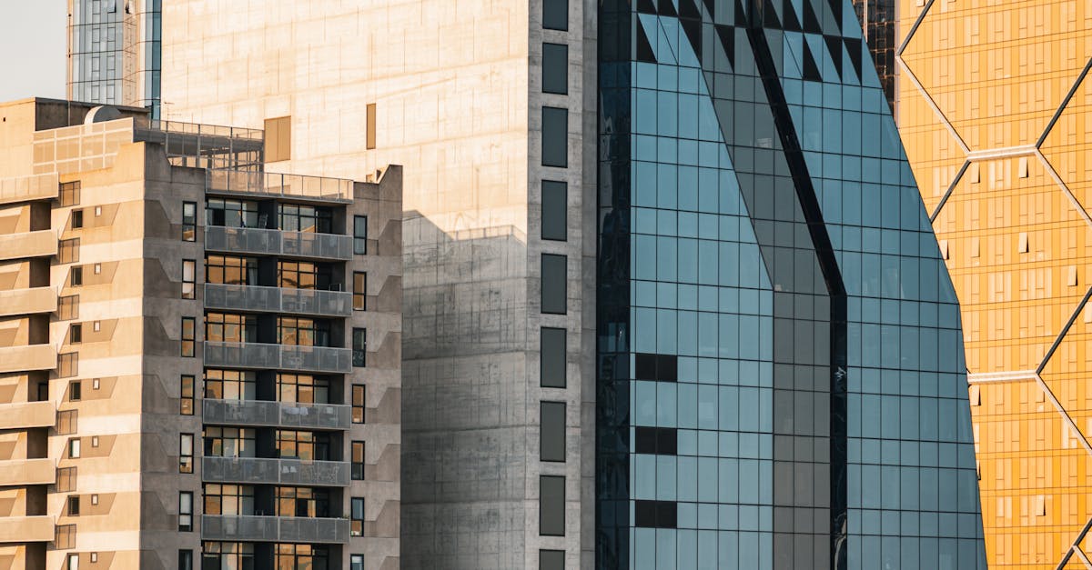 Natural Soil Amendments to Boost Plant Health