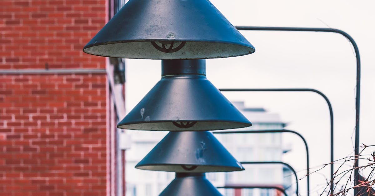 Seasonal Colour Palettes: Native Plants that Thrive Year-Round