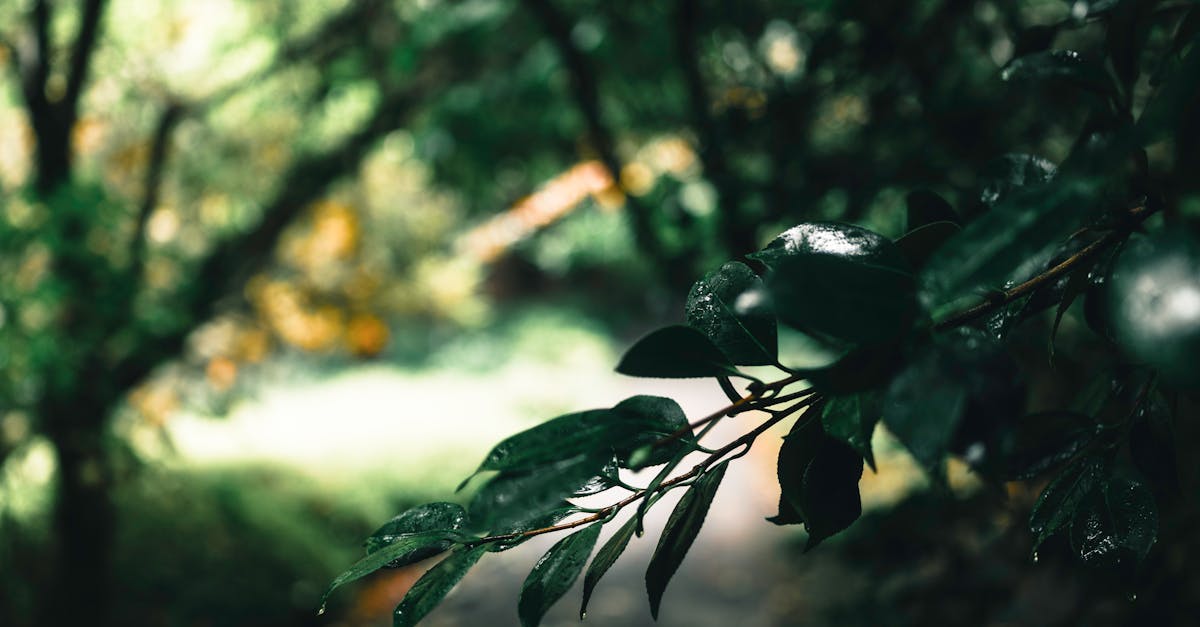 Selecting the Right Furniture for Outdoor Comfort