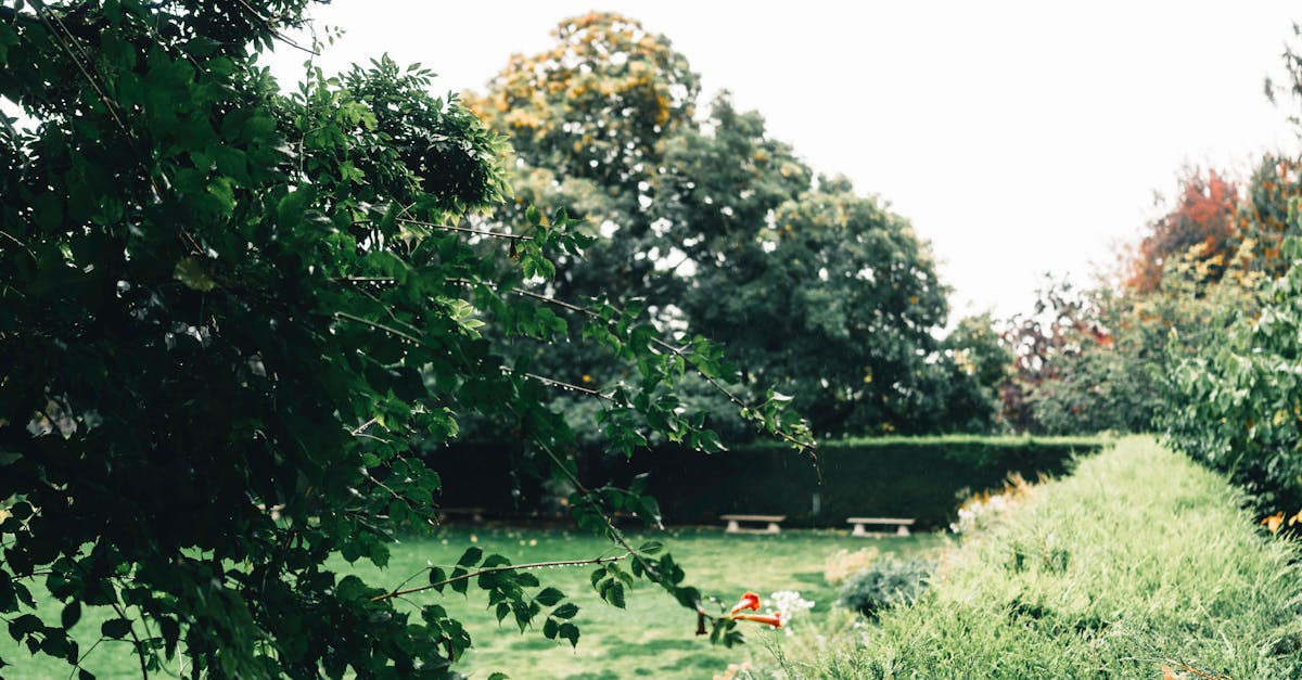 Sustainable Materials for Victorian Residential Garden Designs