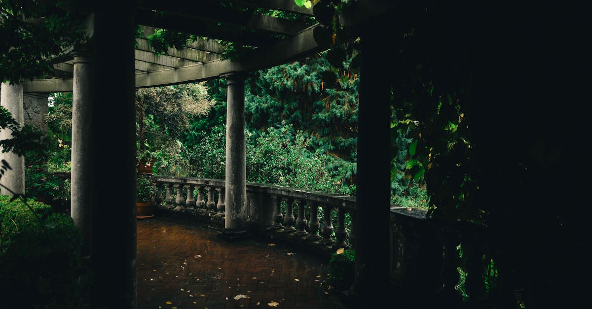 The Role of Water Features in Contemporary Outdoor Designs