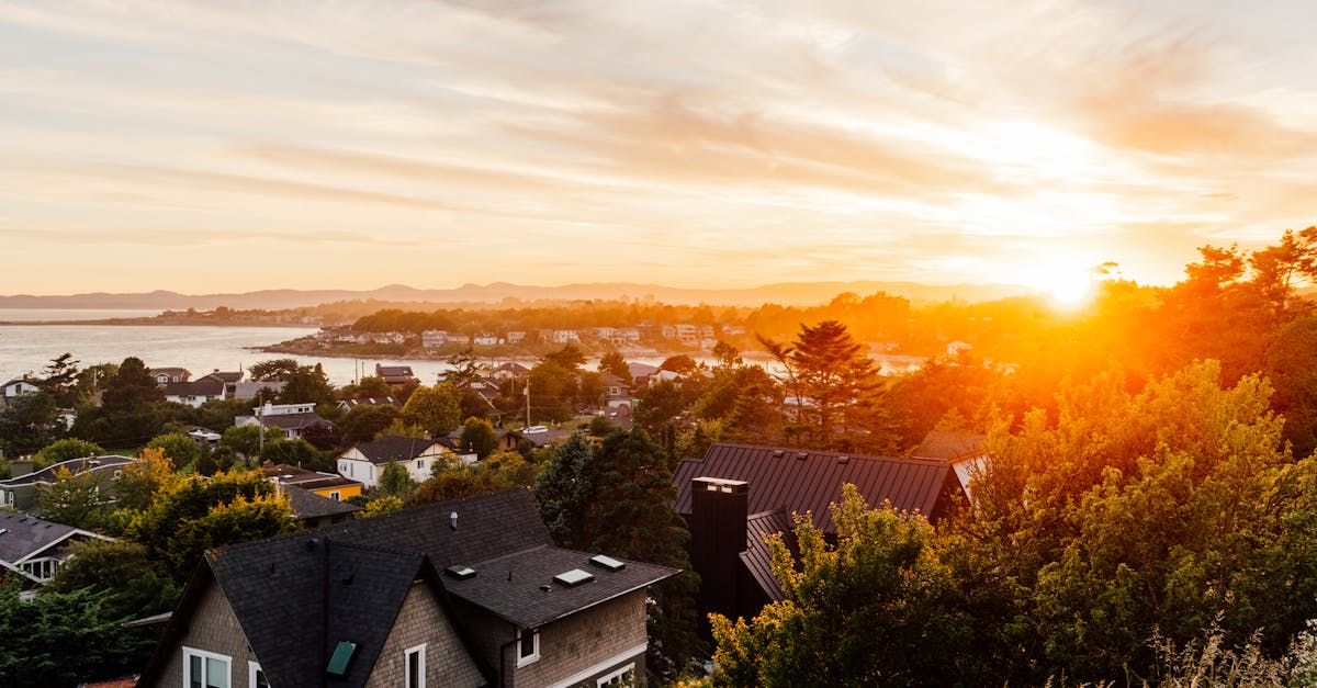 Top Dressing: Enhancing Soil Quality in Your Landscape