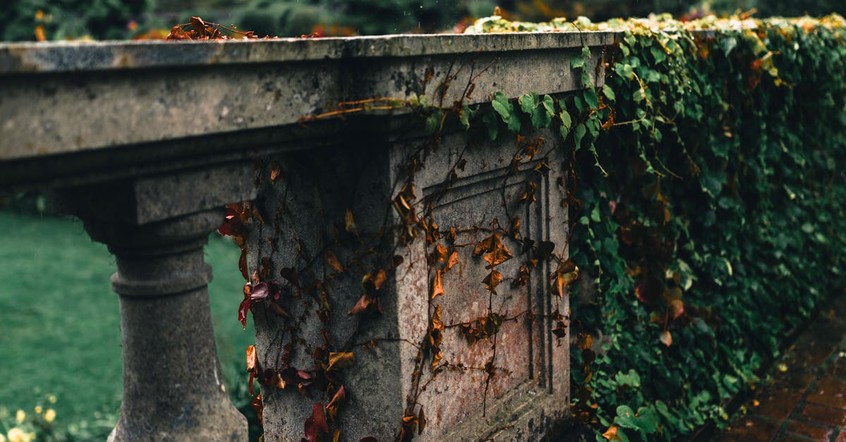 Transforming Small Balconies into Lush Outdoor Living Areas