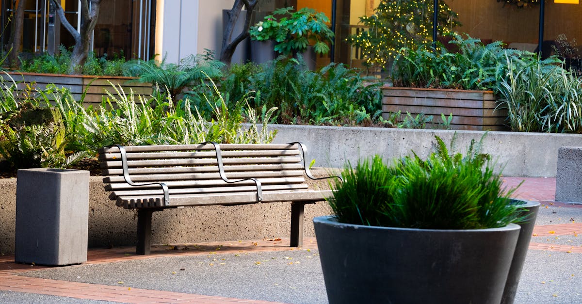 Urban Greening Initiatives for Business Premises in Victoria