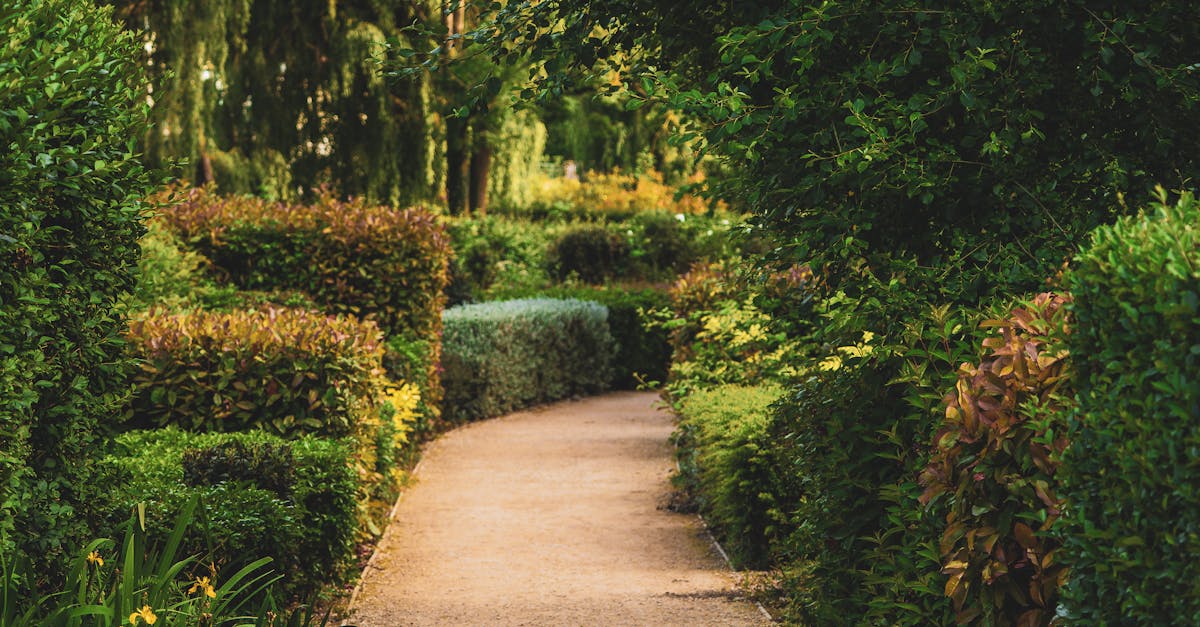 Using Local Materials for Eco-Friendly Landscaping