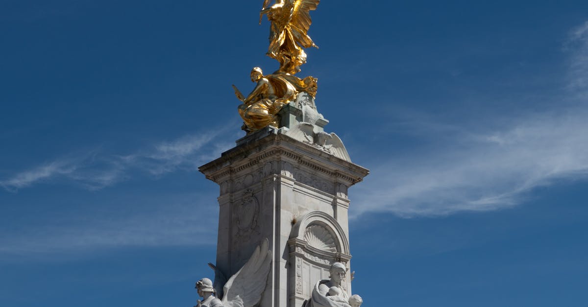 Winter Plant Protection Techniques for Victoria's Climate